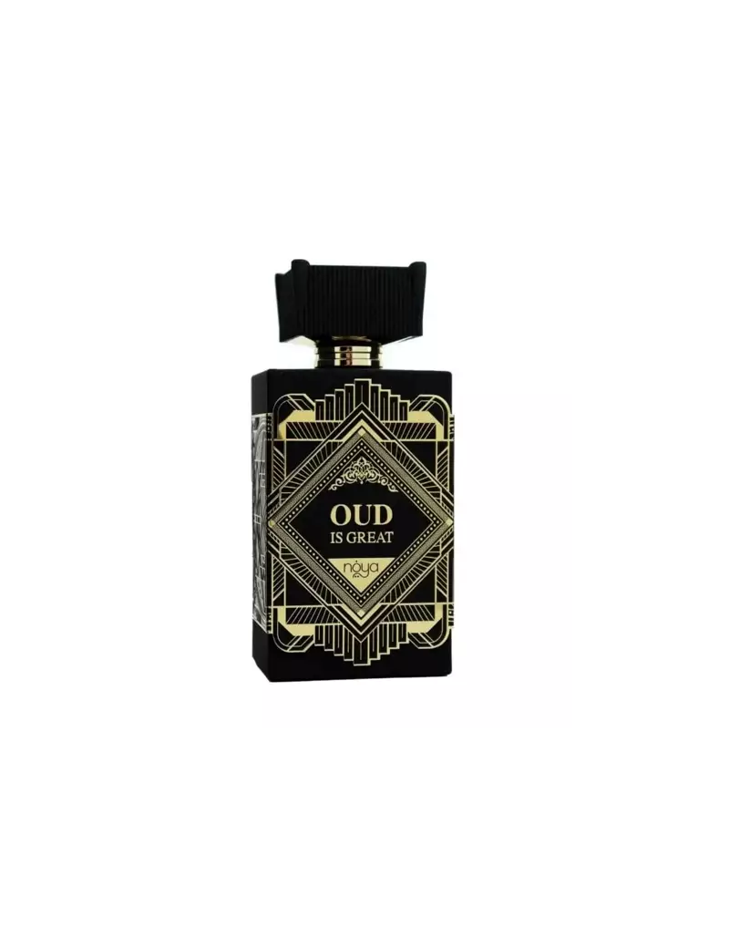 Afnan Noya Oud Is Great Extrait de Parfum 100ml