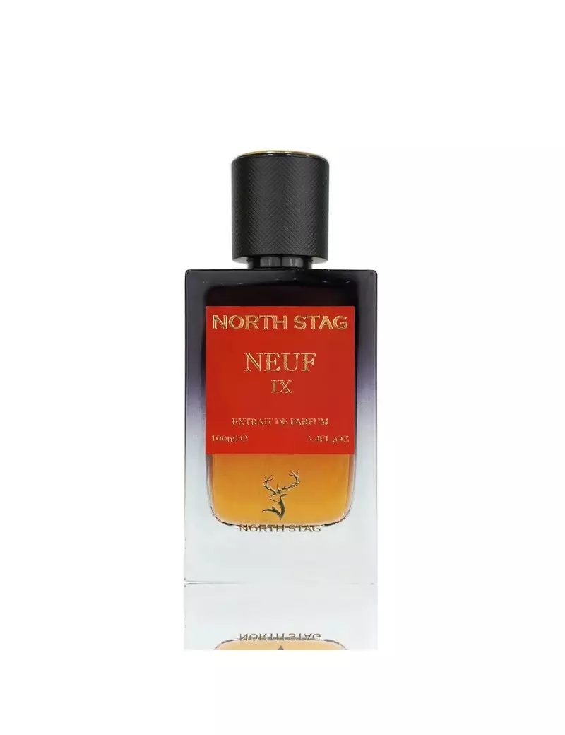 Paris Corner Neuf IX North Stag EDP 100ml