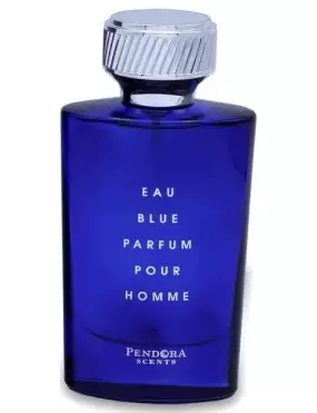 Pendora Scents Eau Blue Pour Homme EDP 100ml