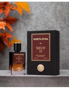 Paris Corner Neuf IX North Stag EDP 100ml